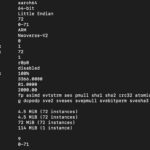 NVIDIA Grace CPU lscpu output cropped