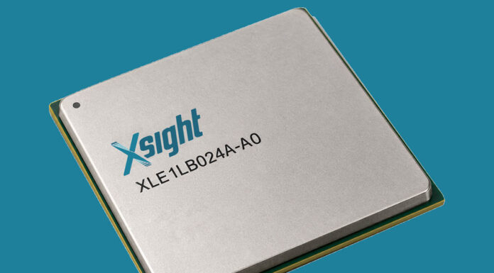 Xsight Labs E1L DPU for Lower-Power 200Gbps DPUs Xsight Labs E1L DPU Package
